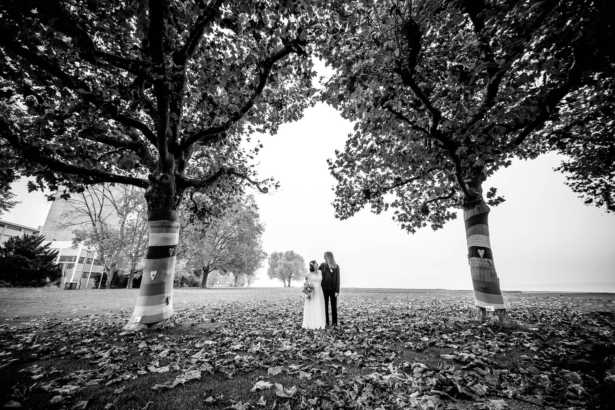 Export x3 1DX29619 HDR Hochzeit 2020 Monika & Sharru